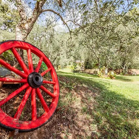 Al Giardino Degli Ulivi منزل ريفي