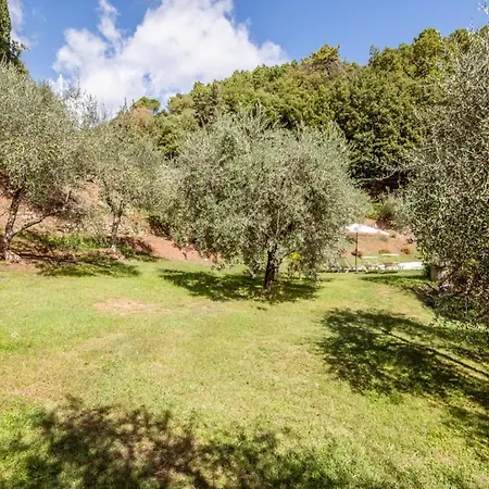 Al Giardino Degli Ulivi *