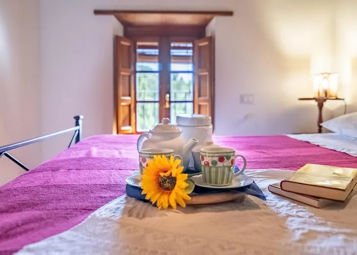 Al Giardino Degli Ulivi Santa Maria Albiano