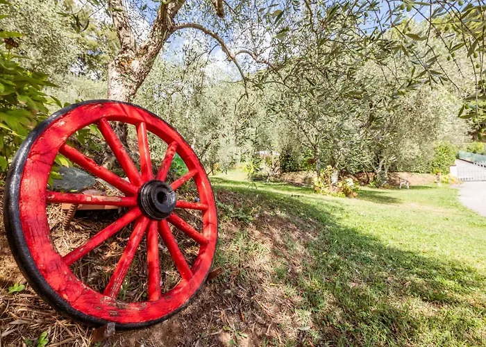 Al Giardino Degli Ulivi Gospodarstwo wiejskie