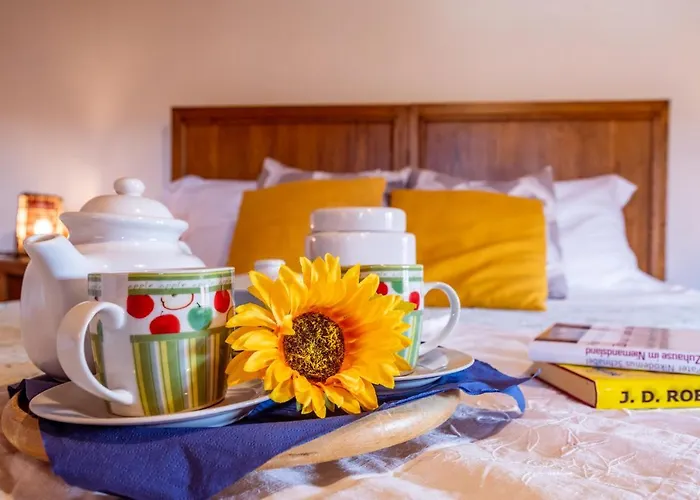 Gospodarstwo wiejskie Al Giardino Degli Ulivi *